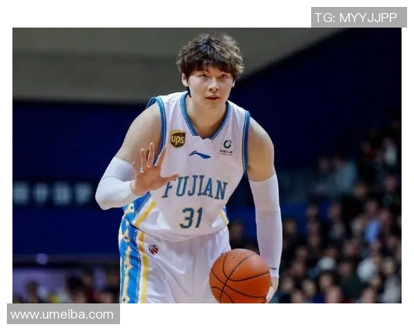 王哲林:从青年才俊到篮球巨星的成长之路与未来展望