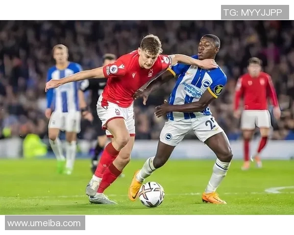 卡迪夫城与诺丁汉激战在即谁能在这场对决中笑到最后