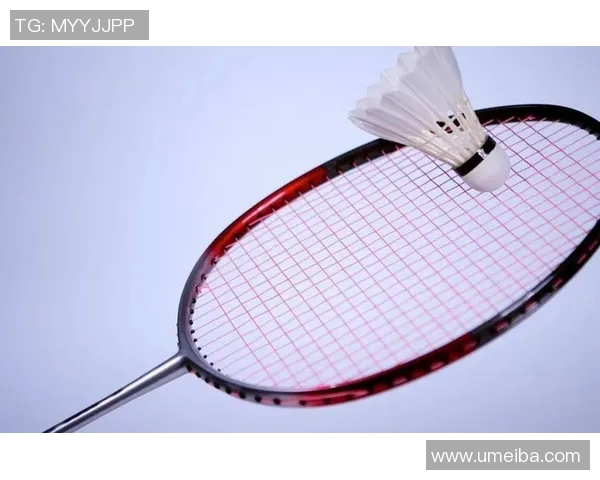 南京羽毛球队的战术解析与阵地战深度剖析